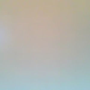 Meet your Posher, Tova